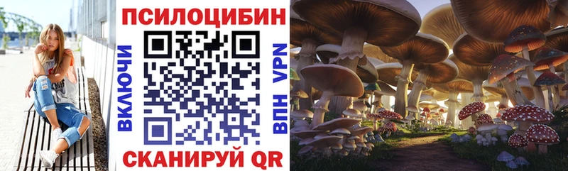 Галлюциногенные грибы прущие грибы Ирбит