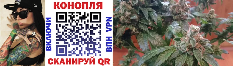 хочу наркоту  Ирбит  Канабис тримм 